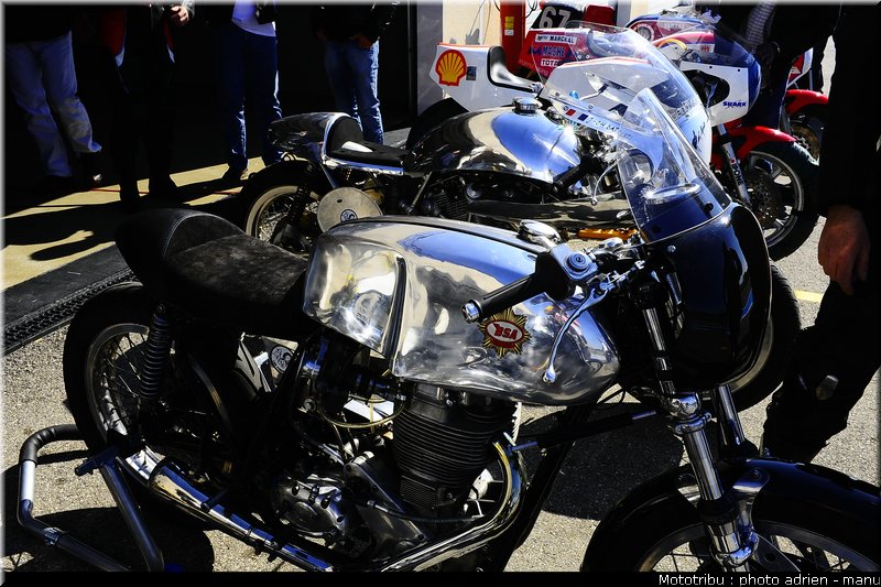 paddock_0017