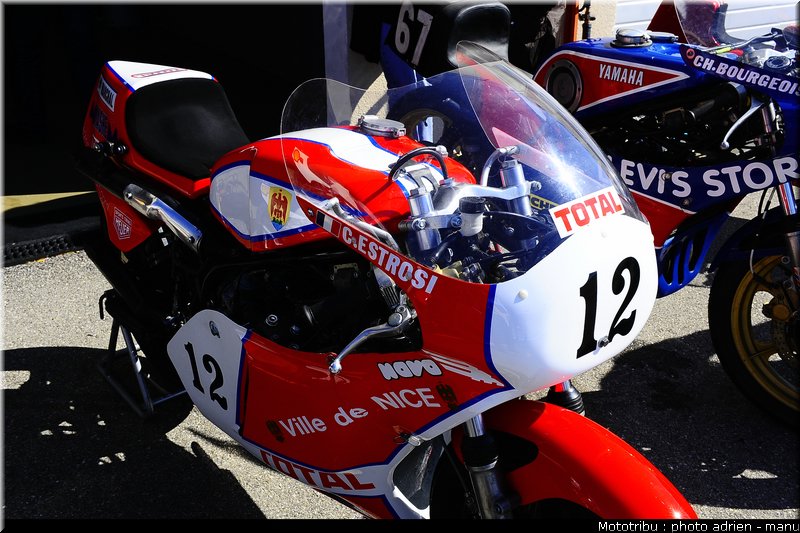 paddock_0023