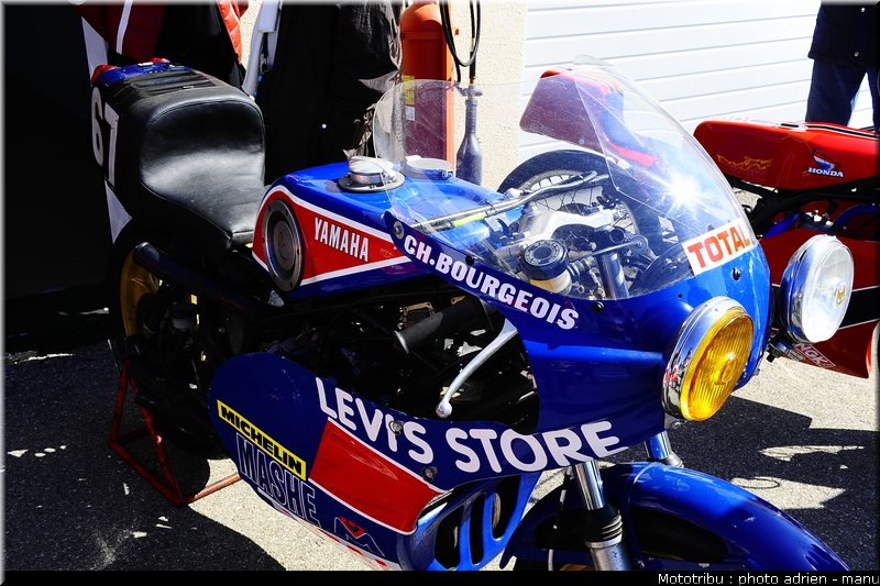 paddock_0024