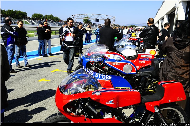 paddock_0026