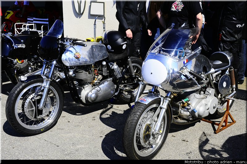 paddock_0027