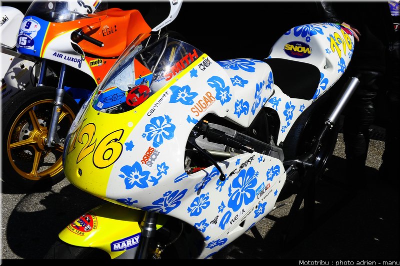 paddock_0028