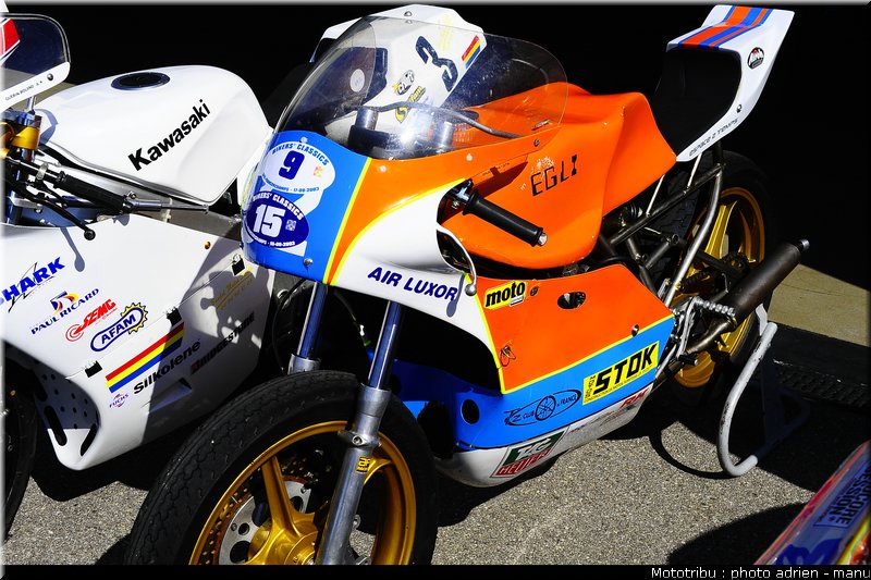 paddock_0029