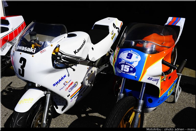 paddock_0030