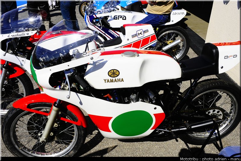 paddock_0033