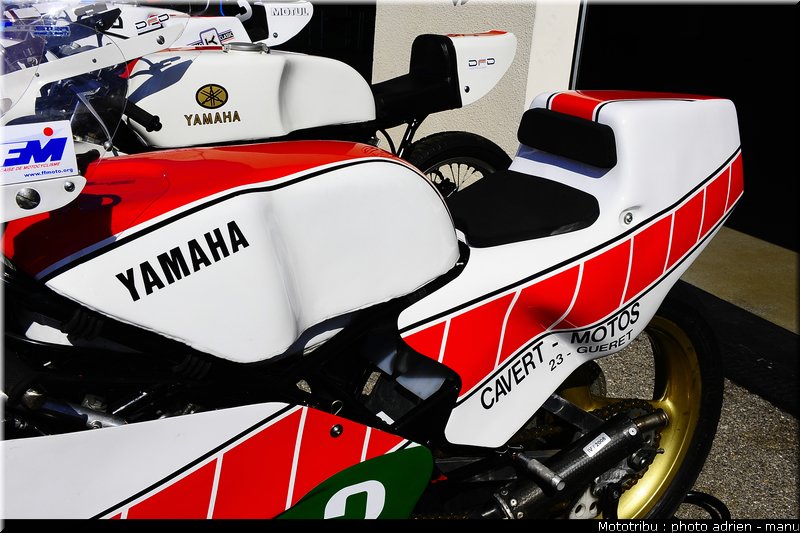 paddock_0036