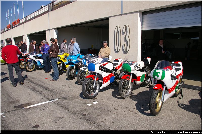 paddock_0037