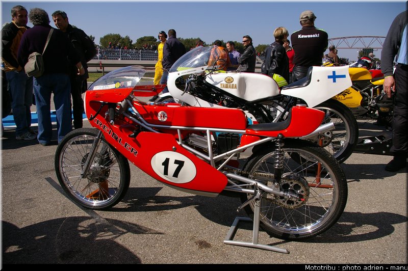 paddock_0041