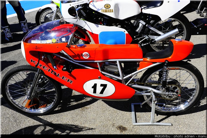 paddock_0043