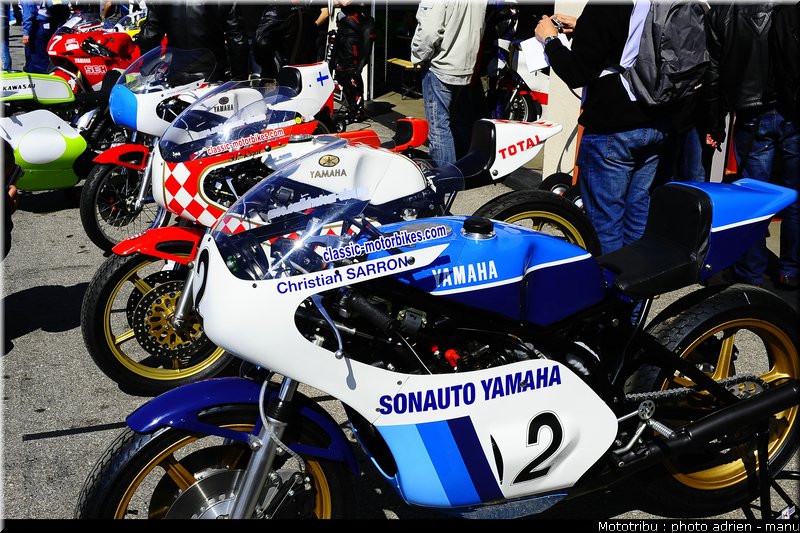 paddock_0044