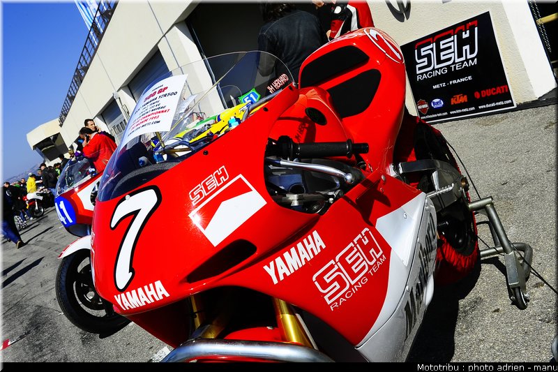paddock_0049