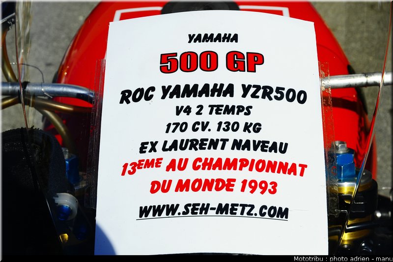 paddock_0053