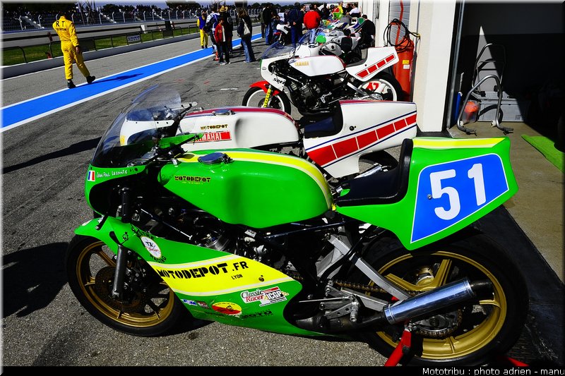 paddock_0056