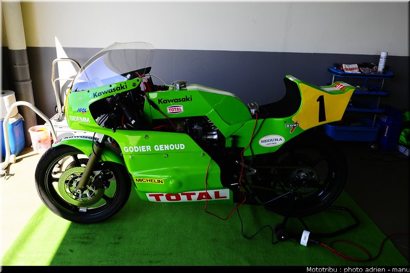 paddock_0057