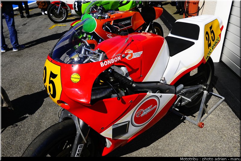 paddock_0065