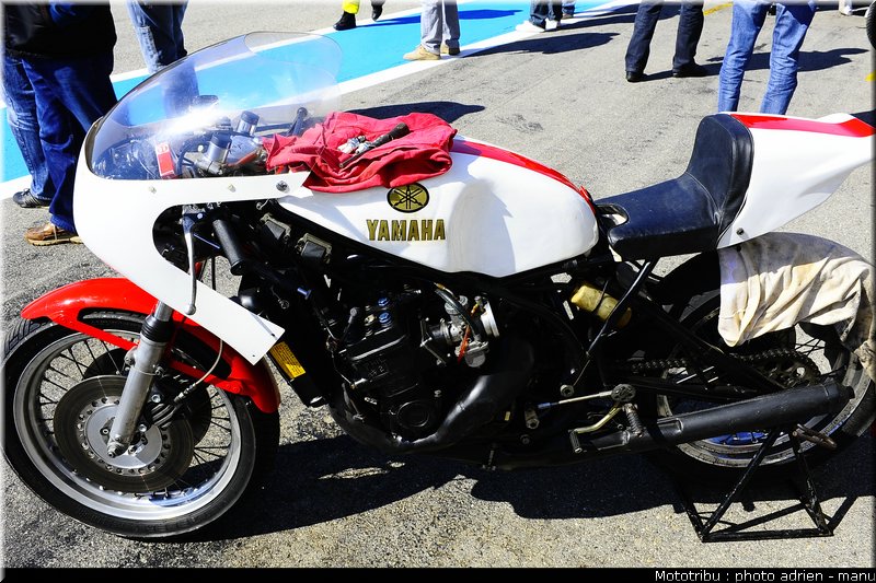 paddock_0066