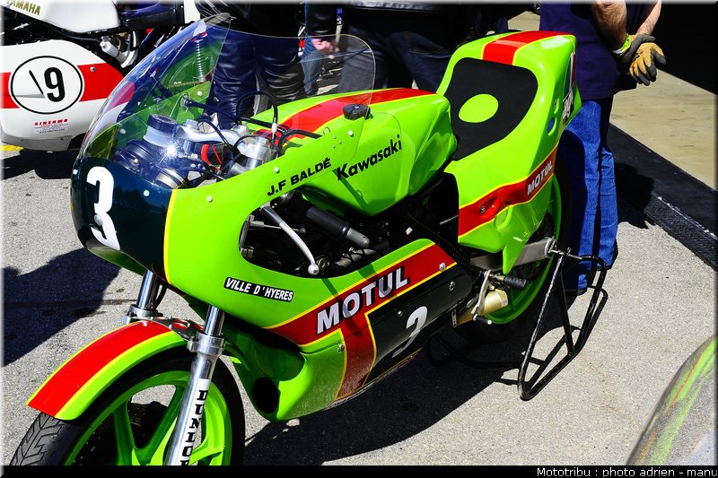paddock_0067
