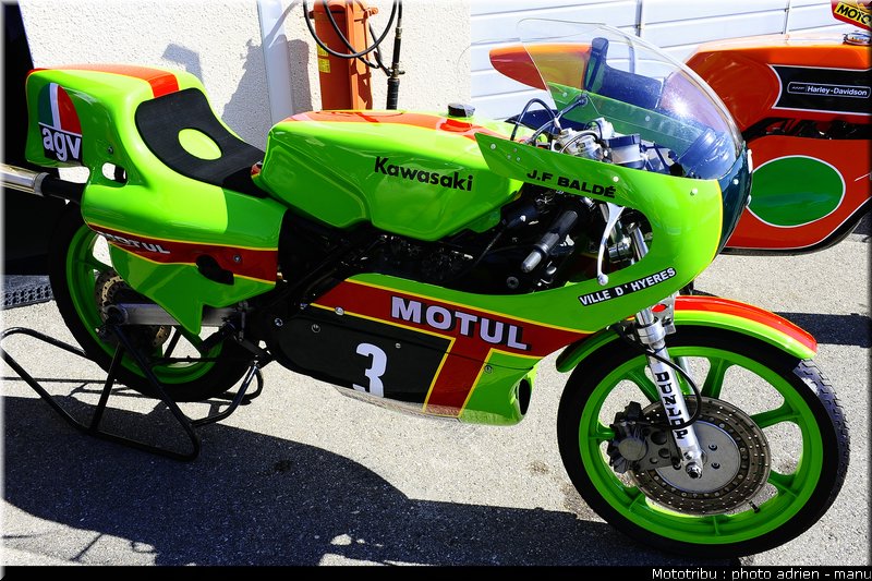 paddock_0069