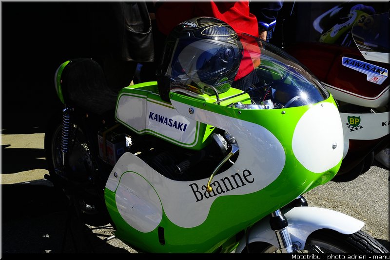 paddock_0077