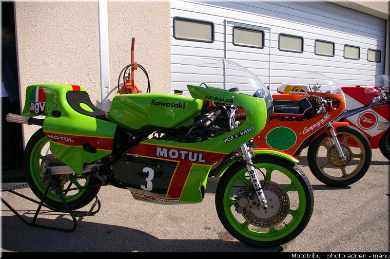 paddock_0080