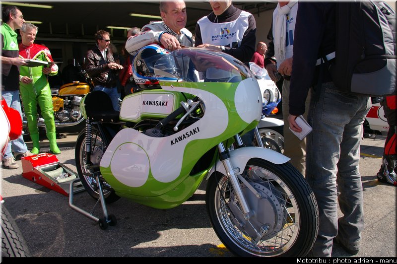 paddock_0087