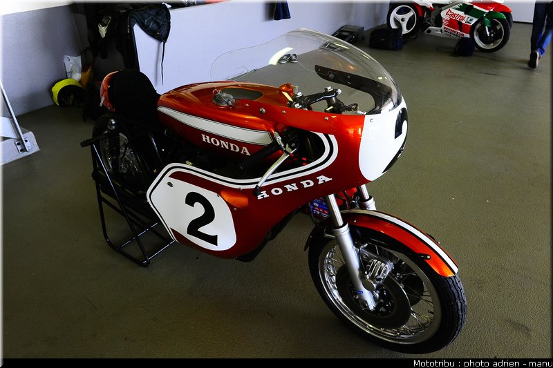 paddock_0093