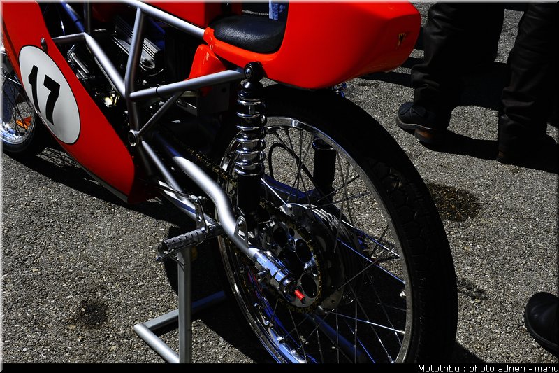 paddock_0100