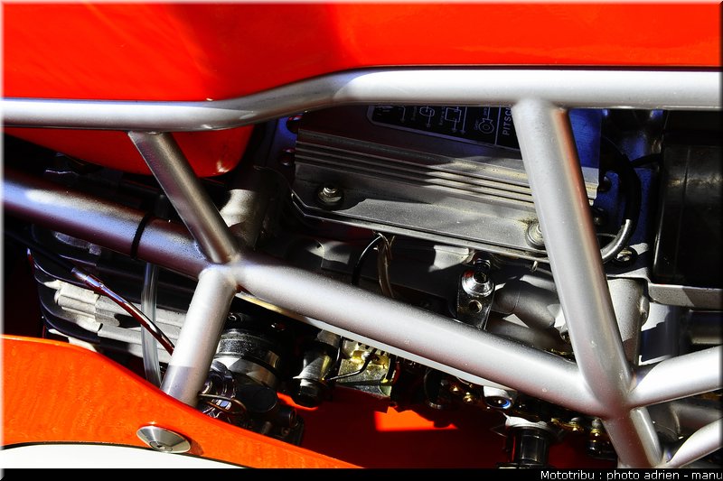 paddock_0103