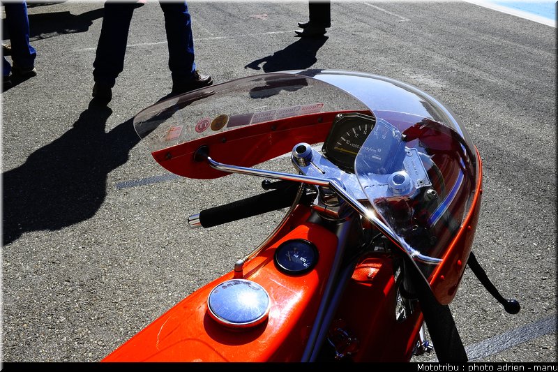 paddock_0109