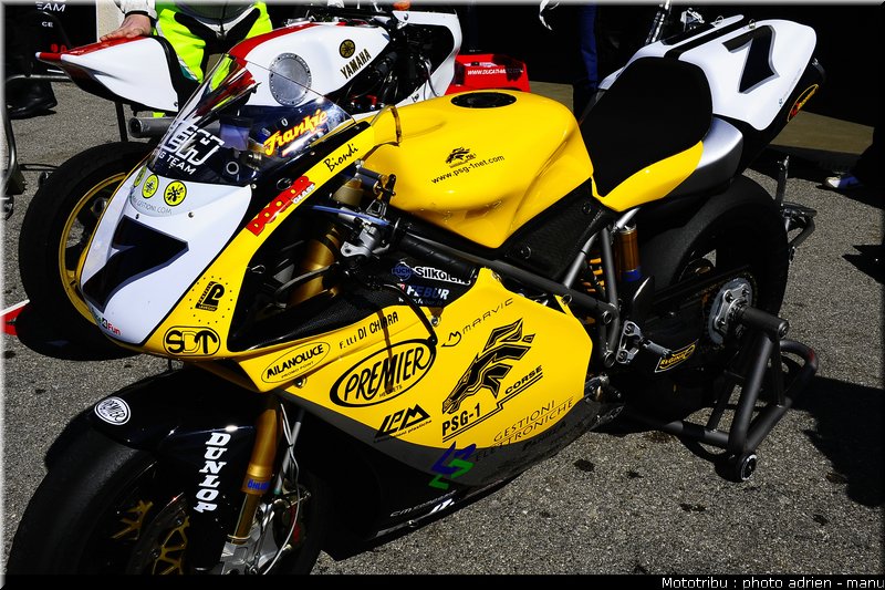 paddock_0113