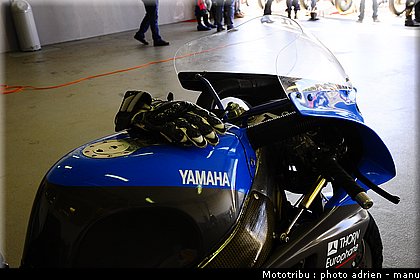 paddock_0005.JPG
