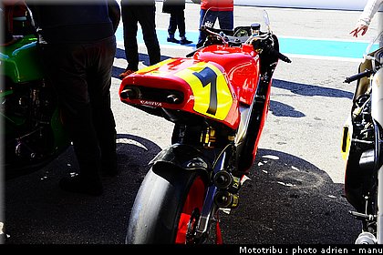 paddock_0007.JPG