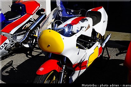 paddock_0010.JPG