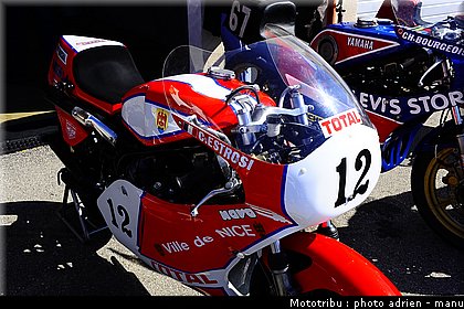 paddock_0023.JPG
