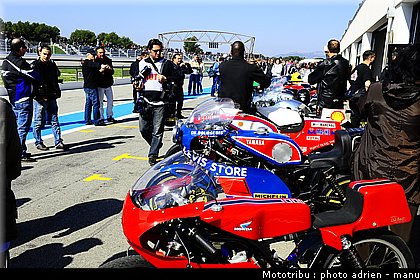 paddock_0026.JPG