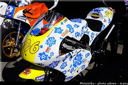 paddock_0028.JPG