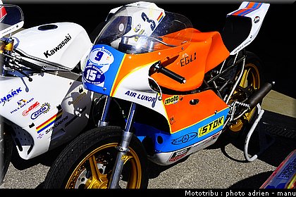 paddock_0029.JPG