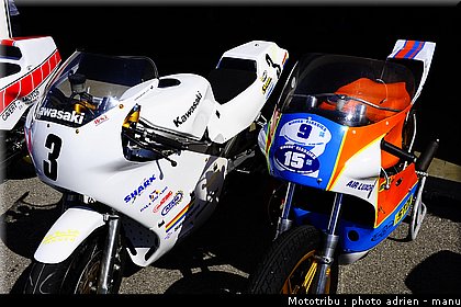 paddock_0030.JPG