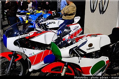 paddock_0032.JPG
