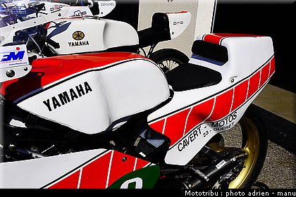 paddock_0036.JPG