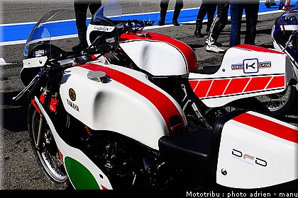 paddock_0038.JPG