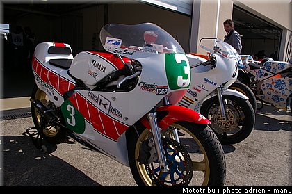 paddock_0040.JPG