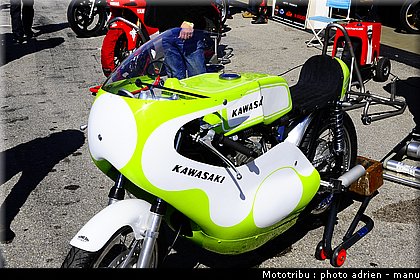 paddock_0046.JPG