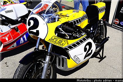 paddock_0050.JPG