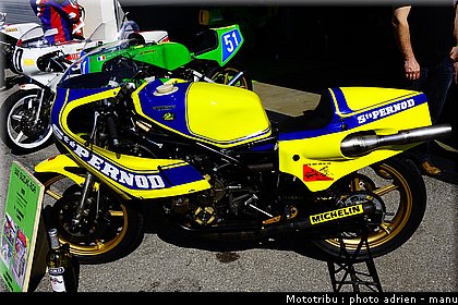 paddock_0054.JPG