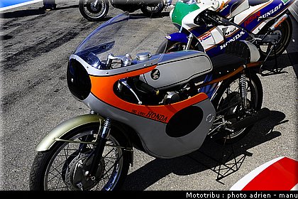 paddock_0060.JPG