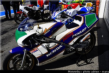 paddock_0062.JPG