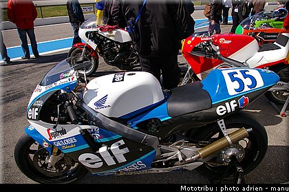 paddock_0070.JPG