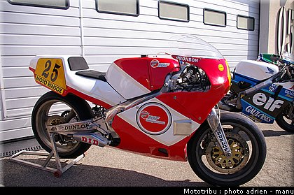 paddock_0082.JPG