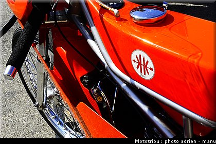 paddock_0104.JPG